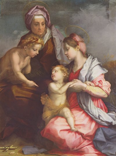 Madonna en Kind met St. Elizabeth en de Jonge St. Johannes de Doper door Andrea del Sarto